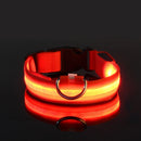 SafeWalk™ Glowing Collar