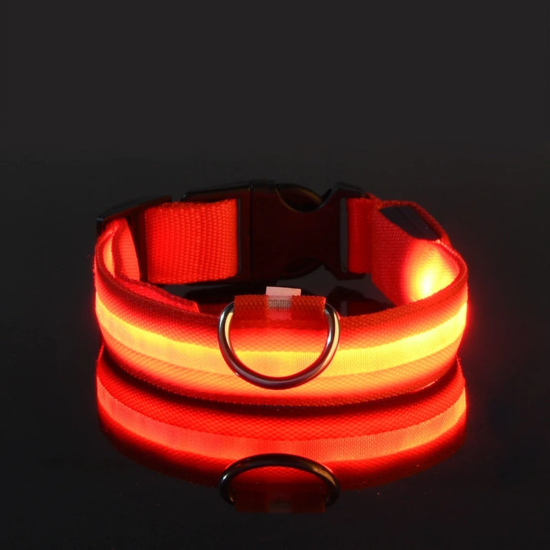 SafeWalk™ Glowing Collar