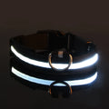 SafeWalk™ Glowing Collar