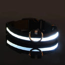 SafeWalk™ Glowing Collar