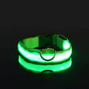 SafeWalk™ Glowing Collar