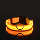 SafeWalk™ Glowing Collar