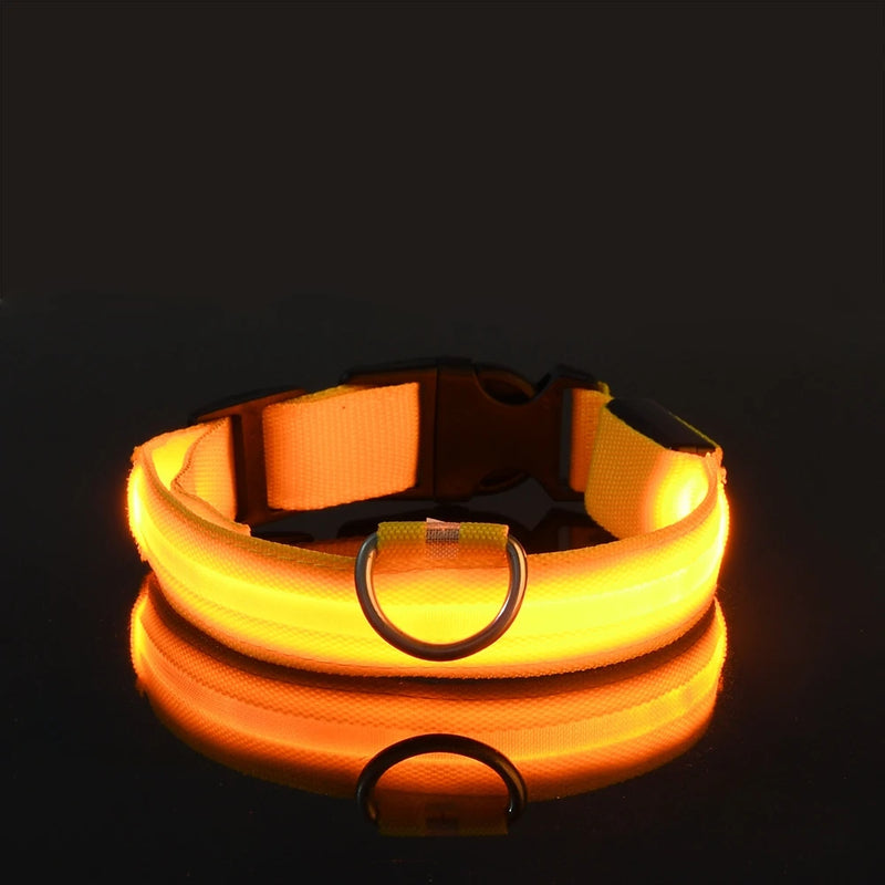SafeWalk™ Glowing Collar