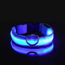SafeWalk™ Glowing Collar