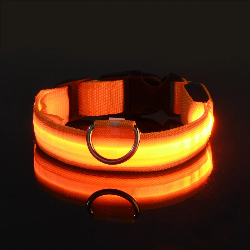SafeWalk™ Glowing Collar