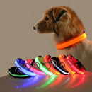 SafeWalk™ Glowing Collar