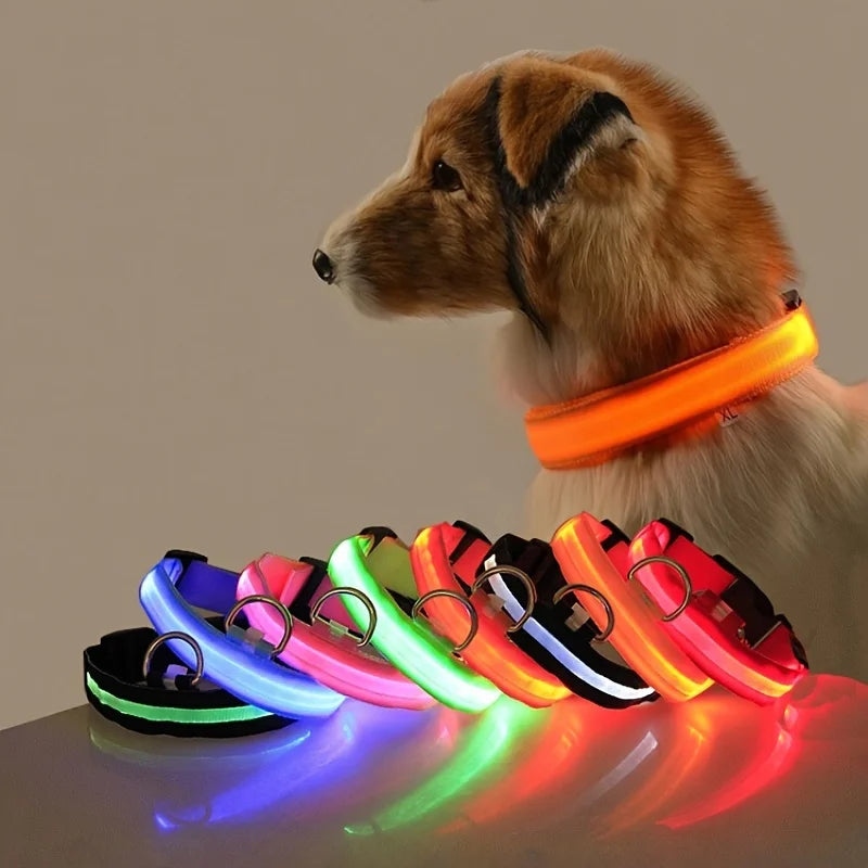SafeWalk™ Glowing Collar