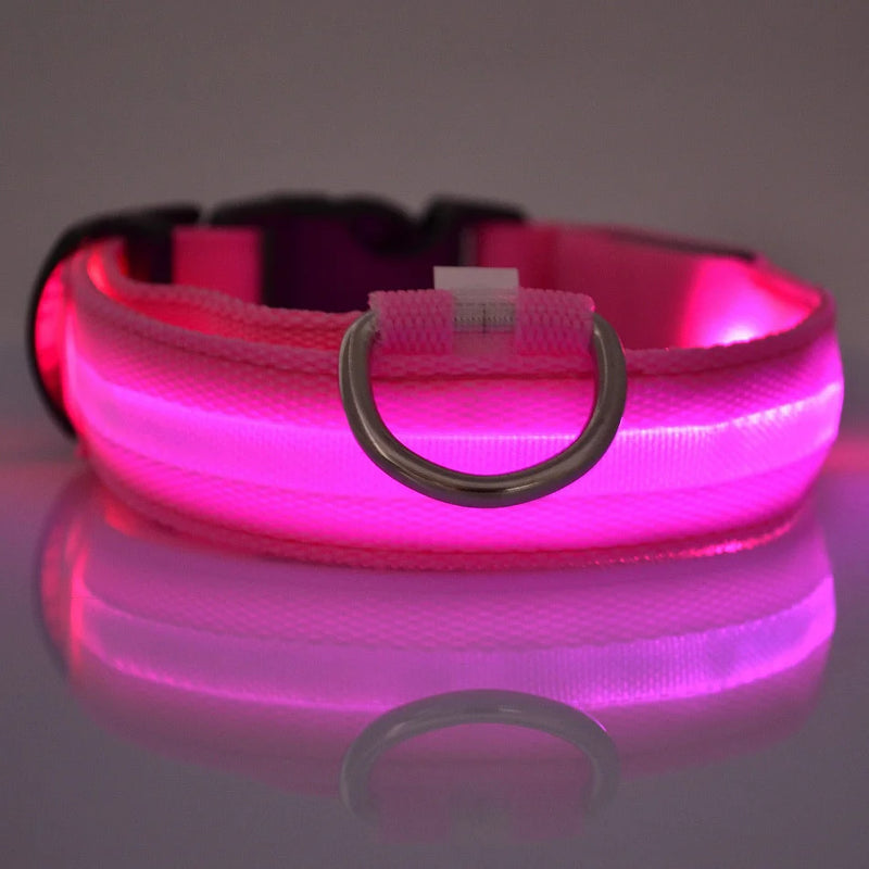 SafeWalk™ Glowing Collar