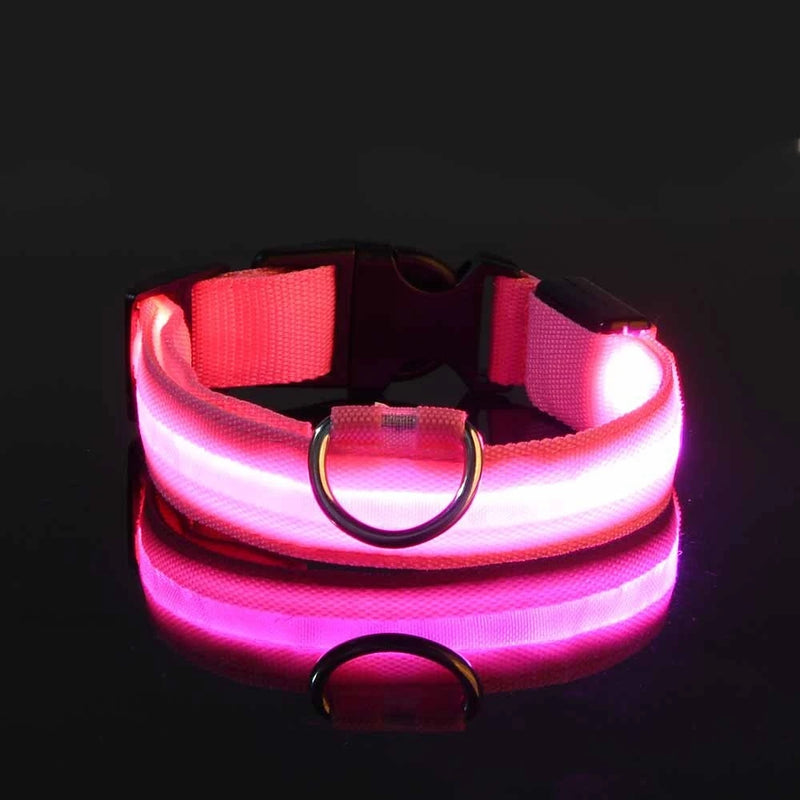 SafeWalk™ Glowing Collar